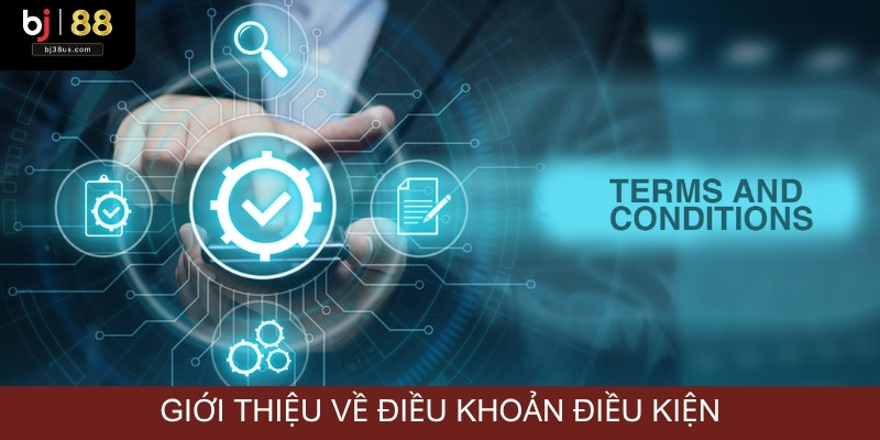 Giới thiệu sơ nét điều khoản điều kiện